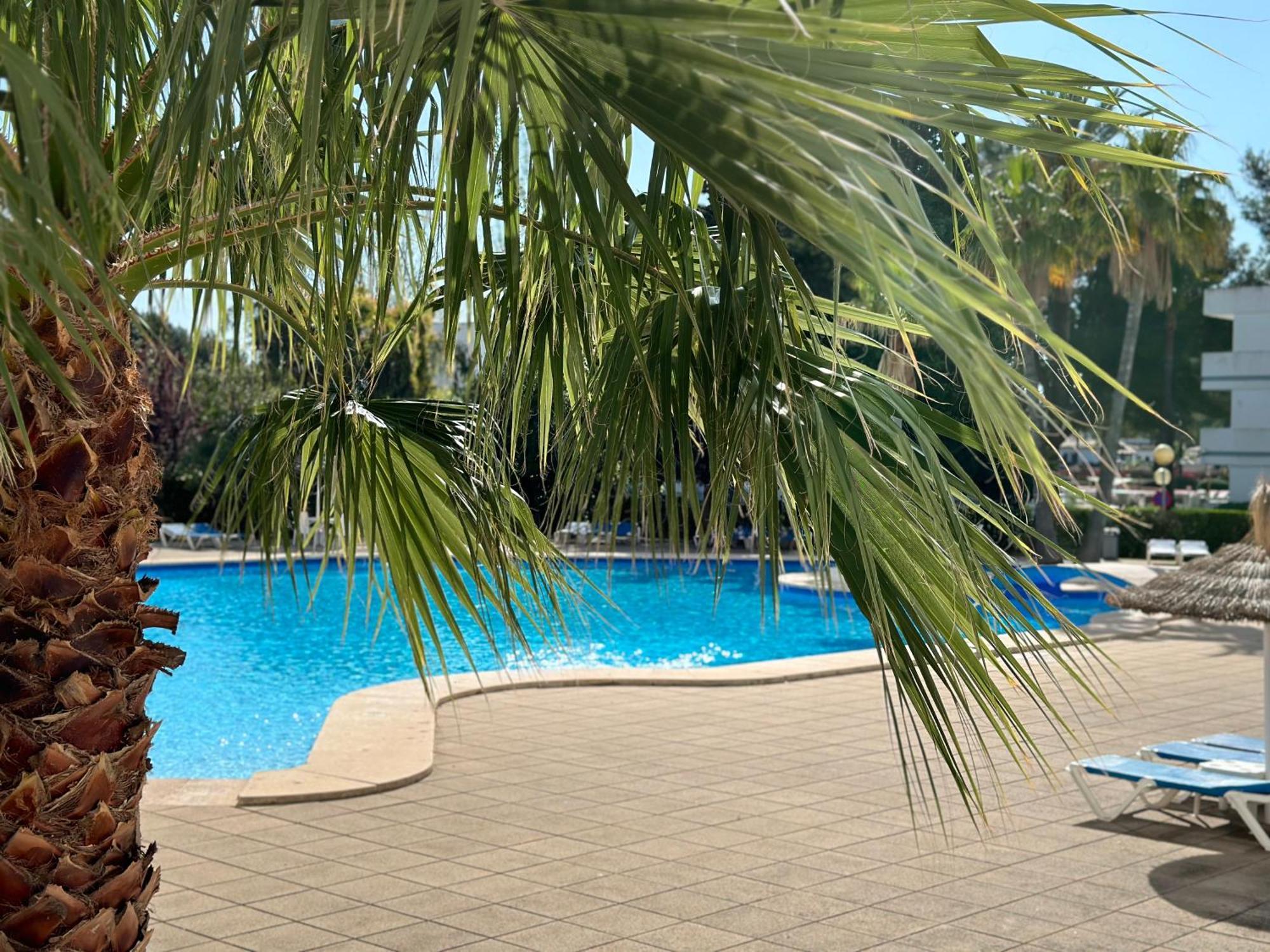 אלקודיה Family Relax Apartment מראה חיצוני תמונה